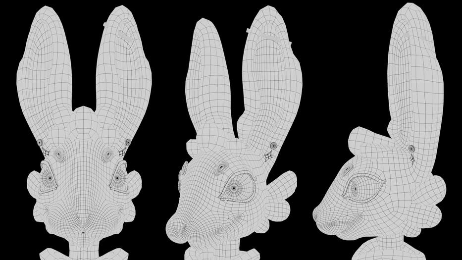 Wireframe Face